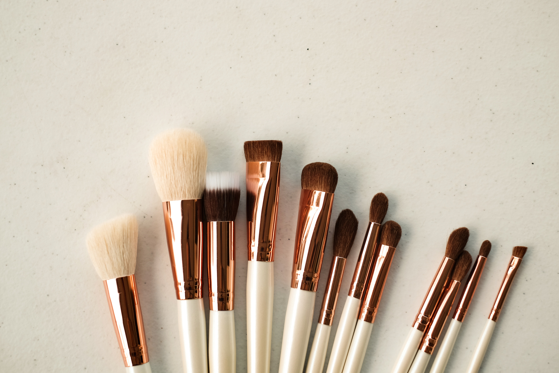 Different Types of Makeup Brushes